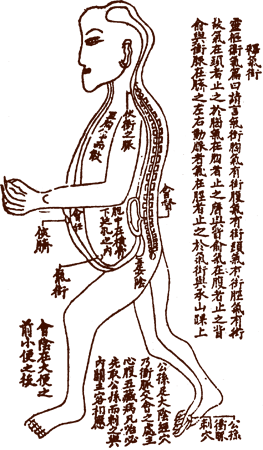 Chong Meridian������ͼ����